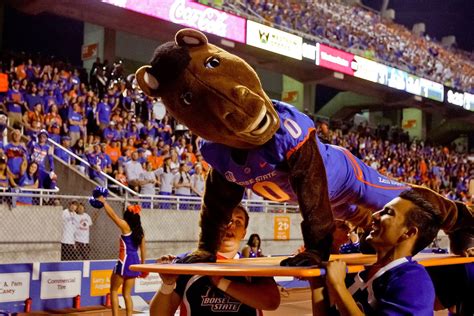 A Day in the Life of a Boise State University Mascot Handler